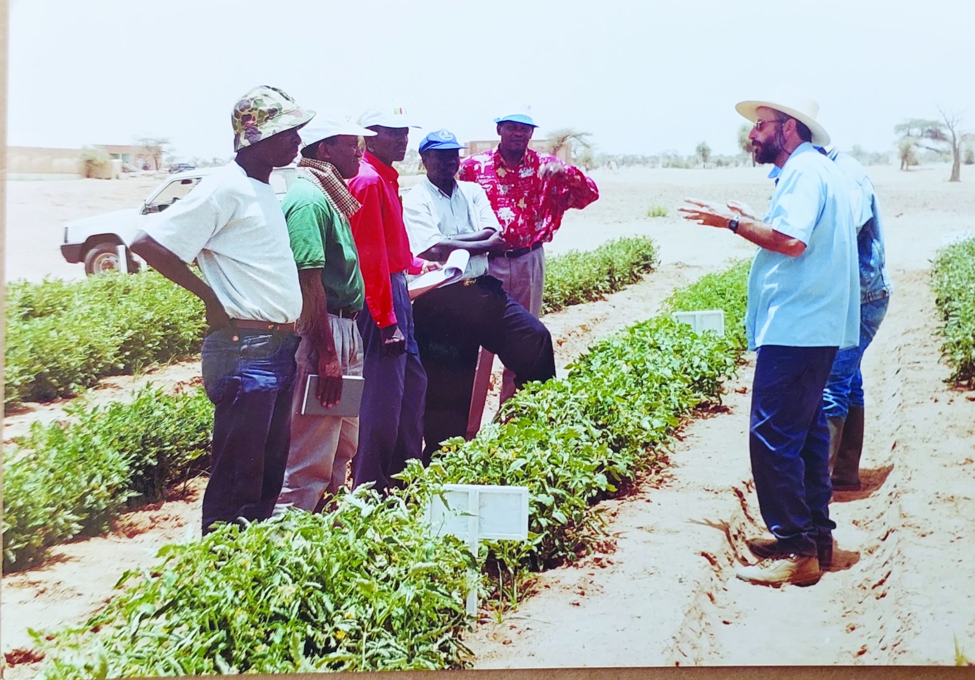 סנגל חווה הסברים 1998