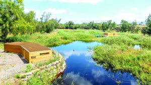 פארק ביצות כנרת צילום רחפן אבי אריש, לרשות ניקוז ונחלים כינרת