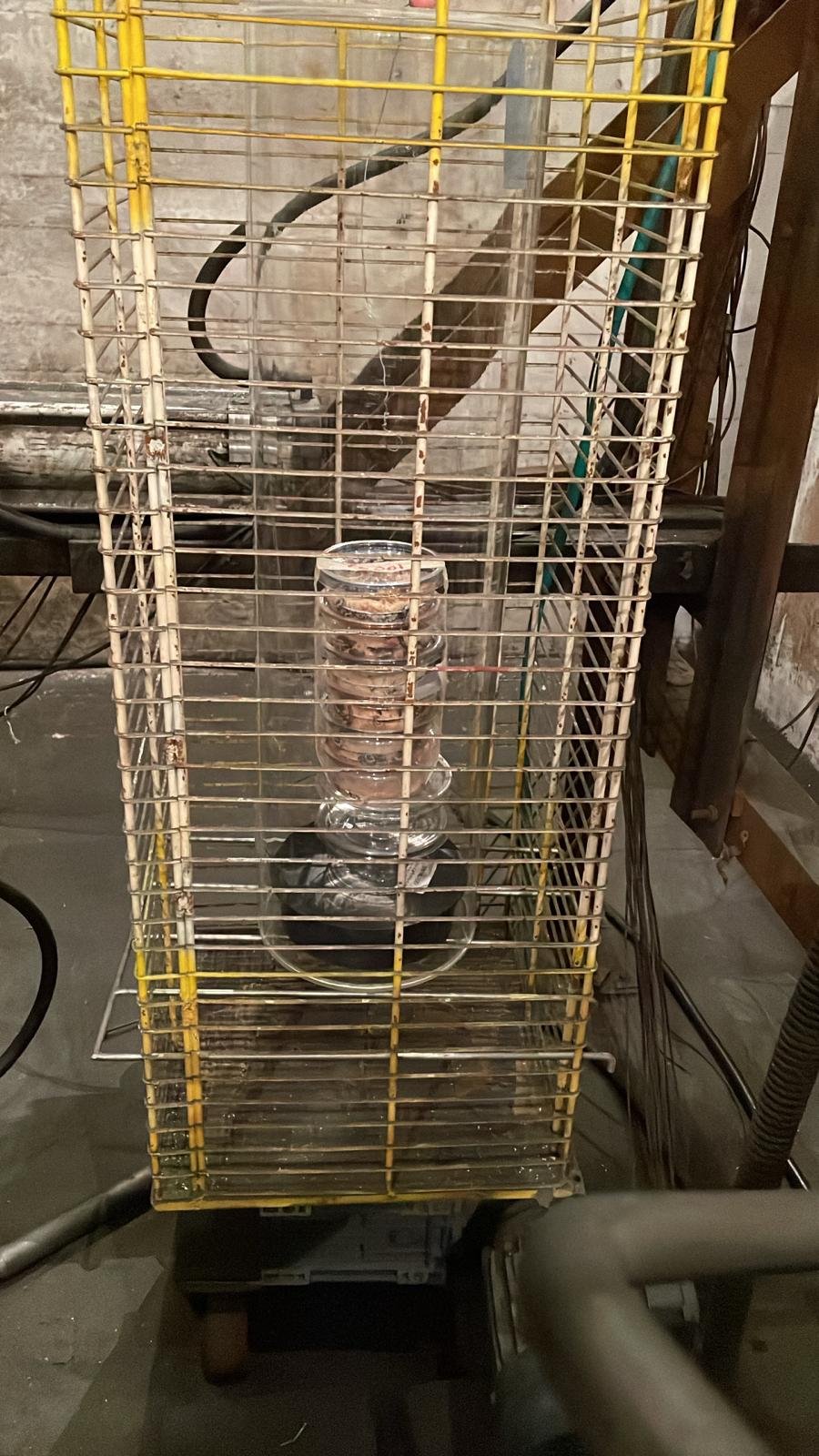 פרודניה 2 (1)