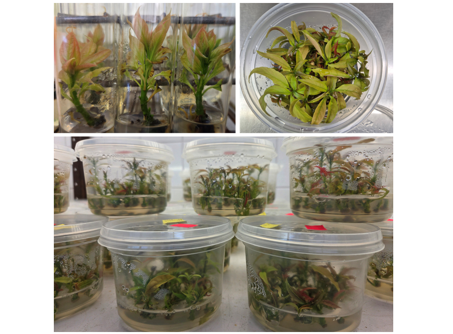 צילום מסך 2026 01 12 225112