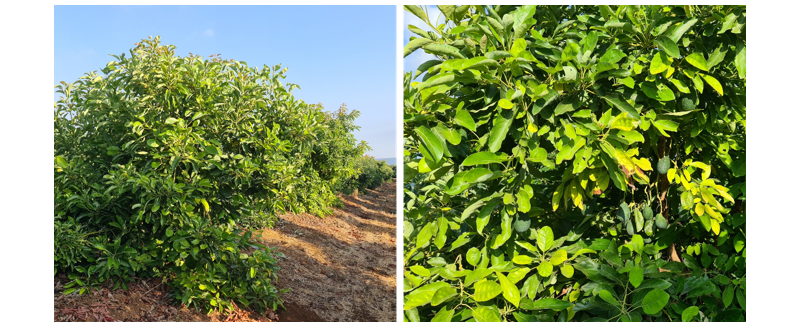 צילום מסך 2026 01 12 225142