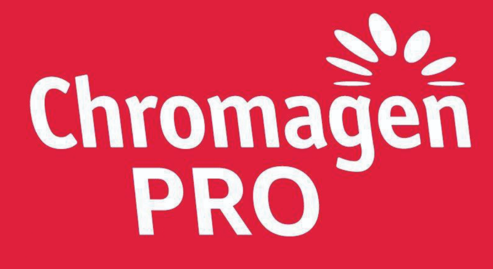 צילום מסך 2026 01 13 150844