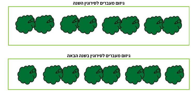 צילום מסך 2026 01 20 003546