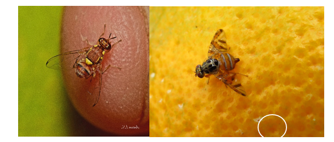 צילום מסך 2026 01 20 003722