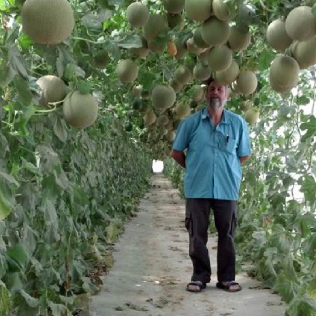 צילום מסך 2026 01 20 131937