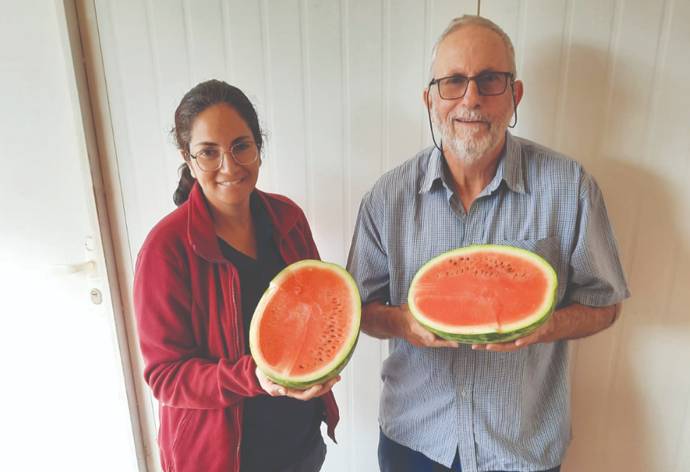 צילום מסך 2026 01 20 132157