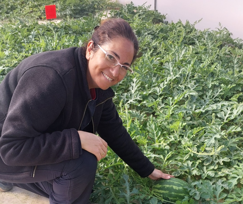 צילום מסך 2026 01 20 133057