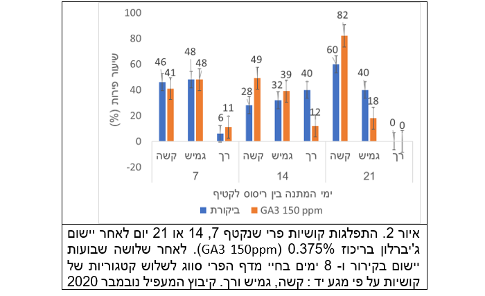 צילום מסך 2026 01 20 203223