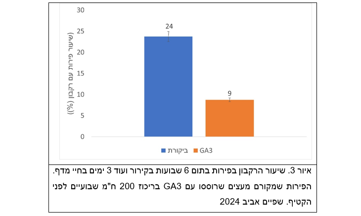 צילום מסך 2026 01 20 203239
