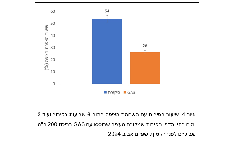 צילום מסך 2026 01 20 203306