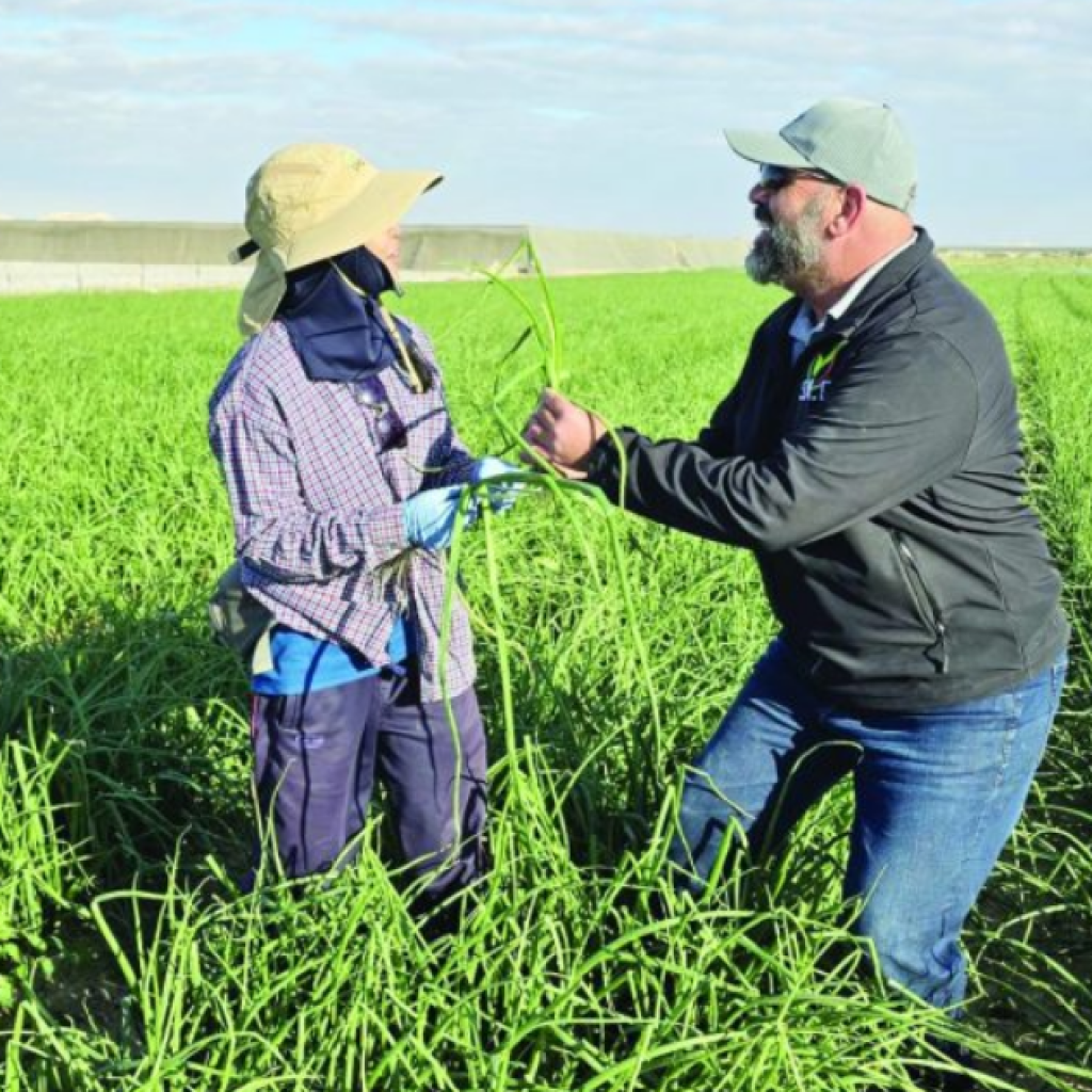 צילום מסך 2026 01 20 204835