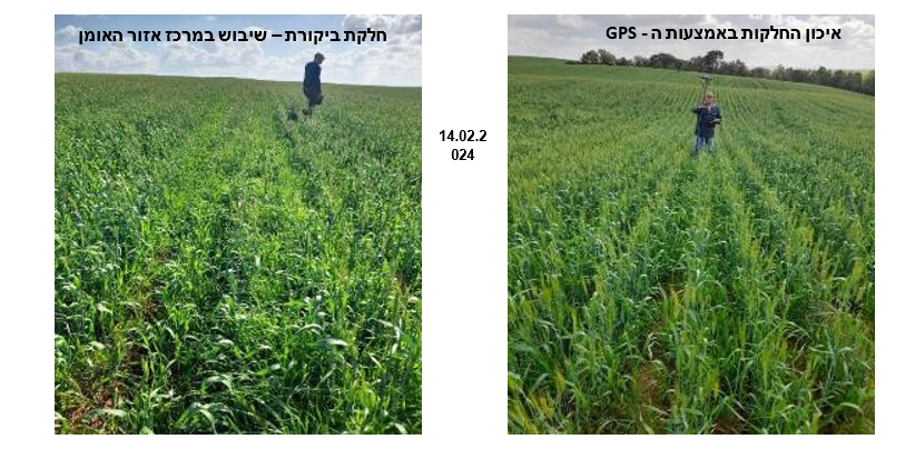 צילום מסך 2026 01 20 210800