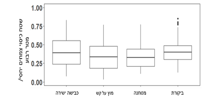 צילום מסך 2026 01 20 211316