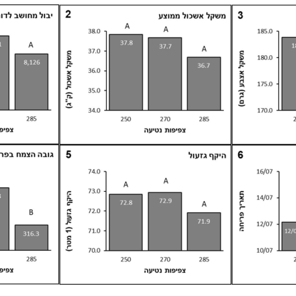 צילום מסך 2026 01 20 213245