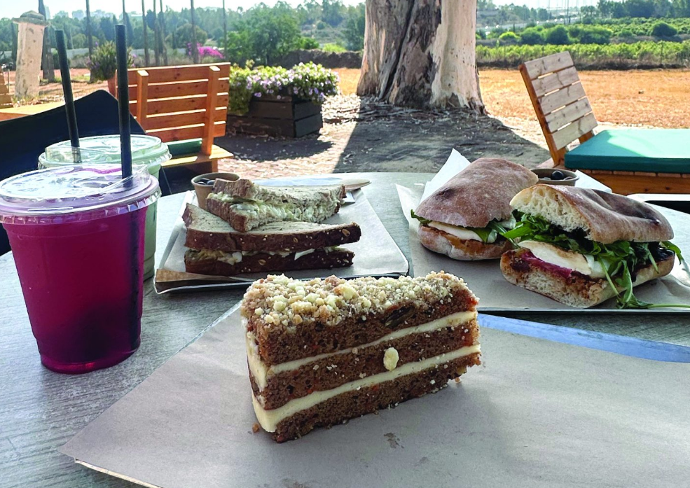 צילום מסך 2026 01 28 225416