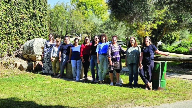 תמונה 1 0568d2d6 bcca 44a5 aafd a5664e530570