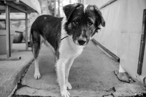 תמונה 1 c8a48ba3 d138 416f 87cd 53e2ad179608