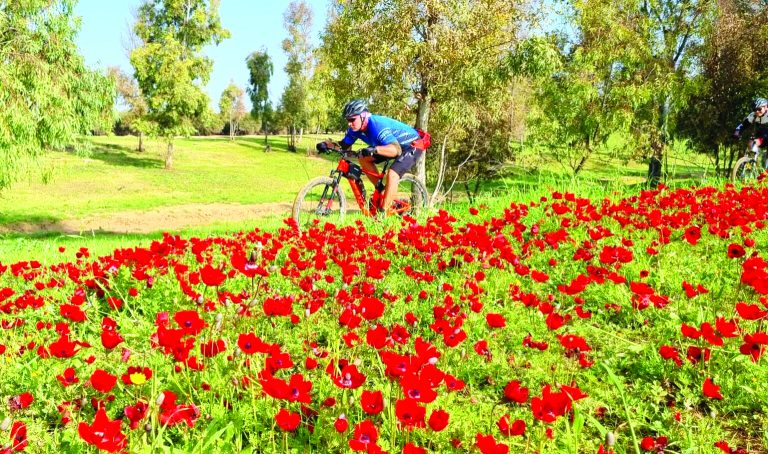 תמונה 2 IMG 20260113 WA0055 1536x907