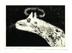 תמונה 2 עותק של Rakefet 141225 WEB DanielHanochPhotographer 4תמונה 2