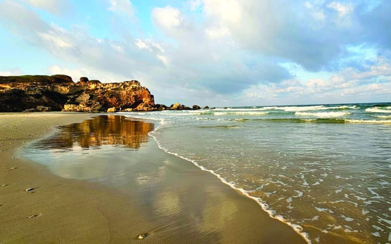 תמונה 2 צילום יערה וקסלבאום שטהל