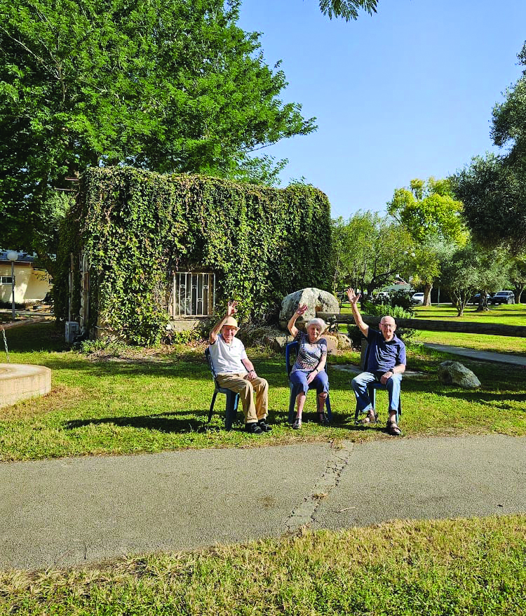 תמונה 3 7f45d77d afa6 46bc 9a1e 9f58106a4113