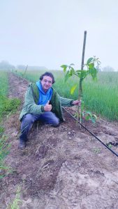 תמונה זיקים1