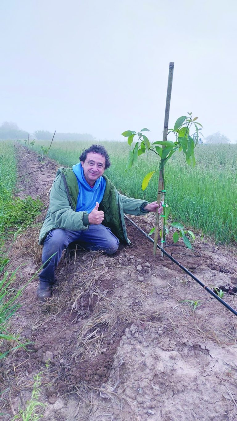 תמונה זיקים1