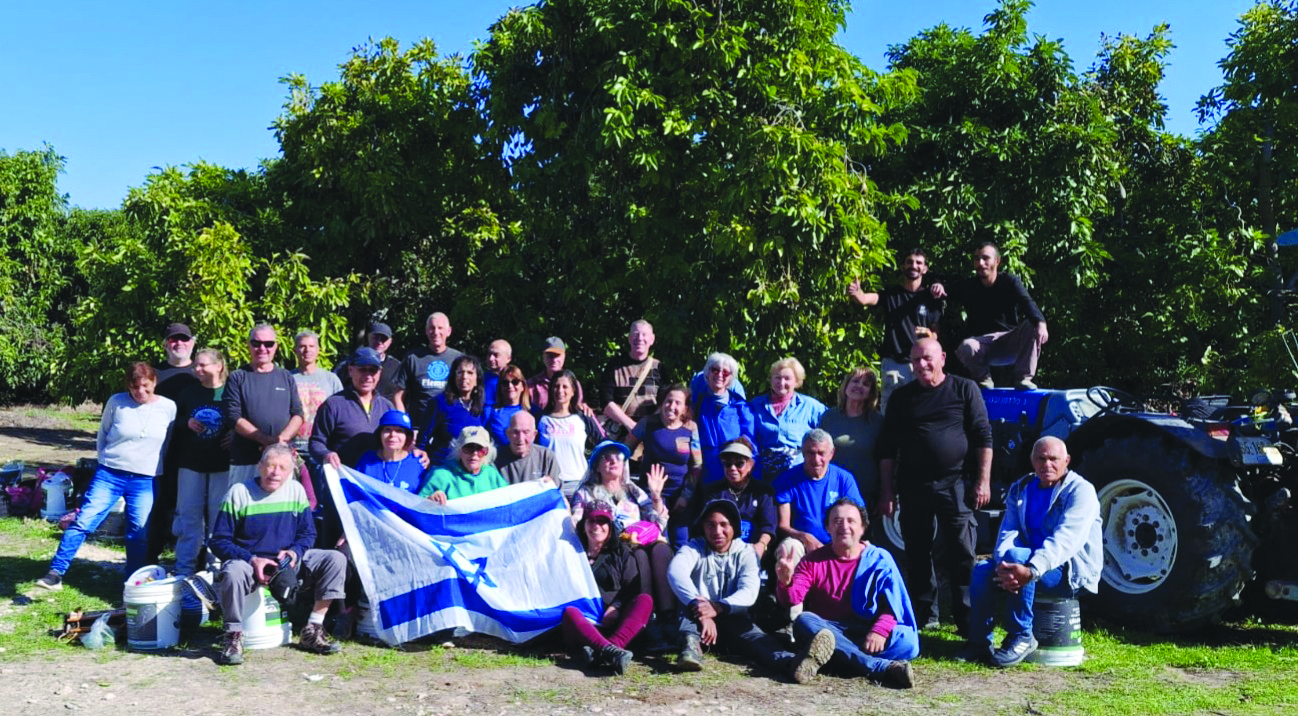 תמונה זיקים2