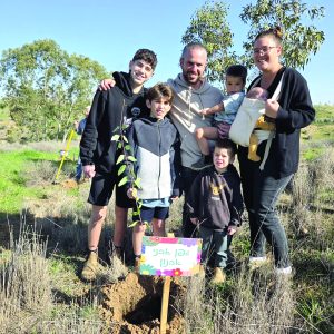 1 נטיעות בארי אבני אבנון