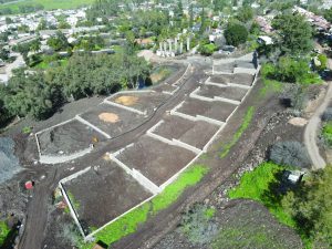 PHOTO 2026 02 22 13 33 25