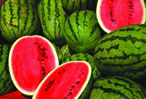 אבטיח צילום סטיב אוונס