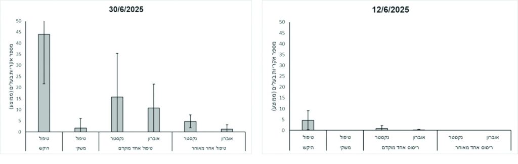 איור 5 ואיור 6