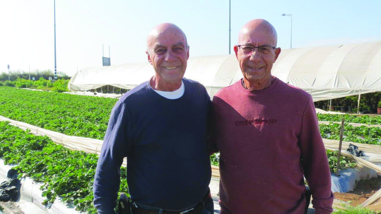 האחים נתן ואליעזר מקלר