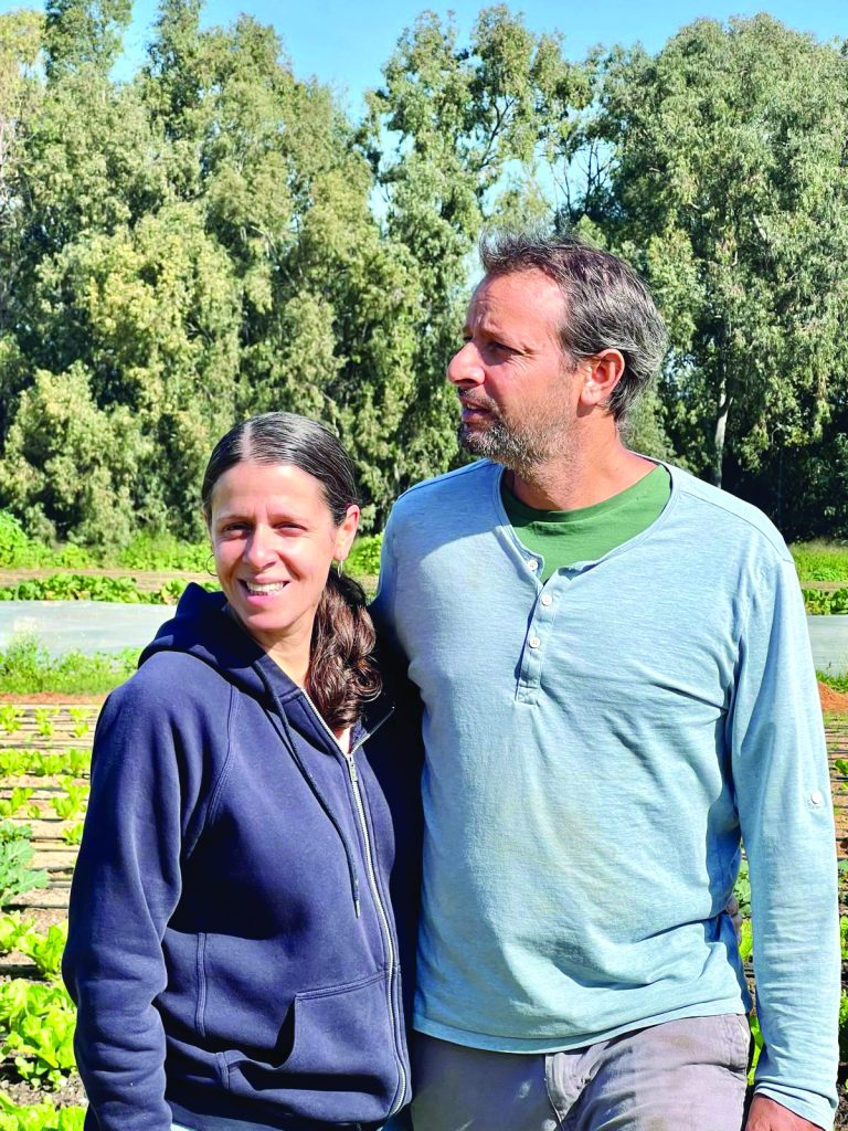 האחים קובי ודנה שטיין חווה אורגנית בבית יהושע