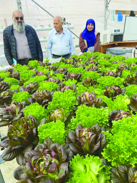 החממה הלימודית ההידרופונית הוקמה בסיוע ארגון מגדלי ירקות באמצעות מועצת הצמחים