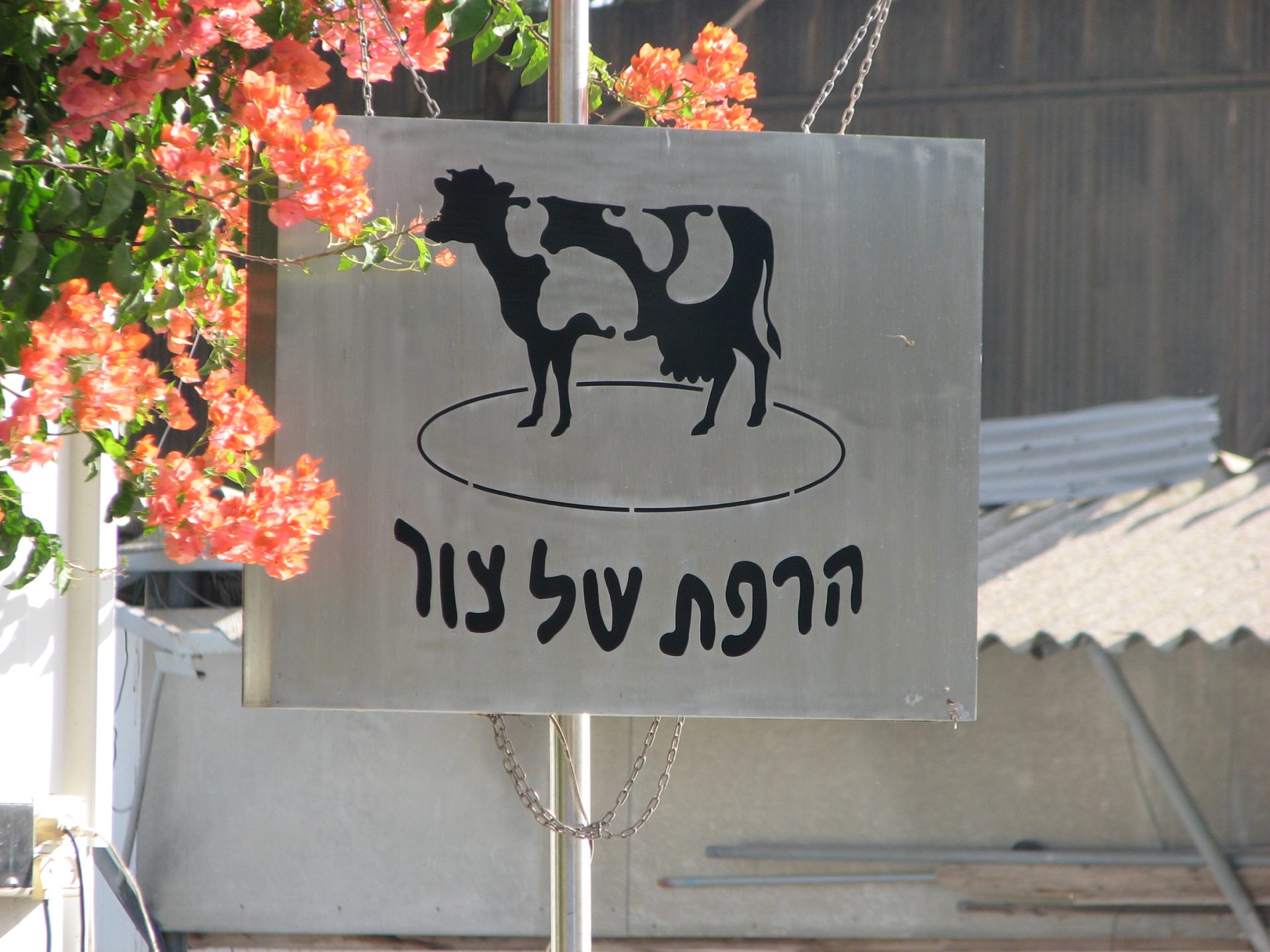 הרפת של צור