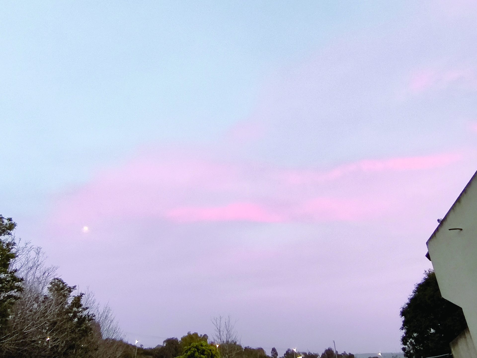 כל מפחה תחליט על פי צו מצפונה