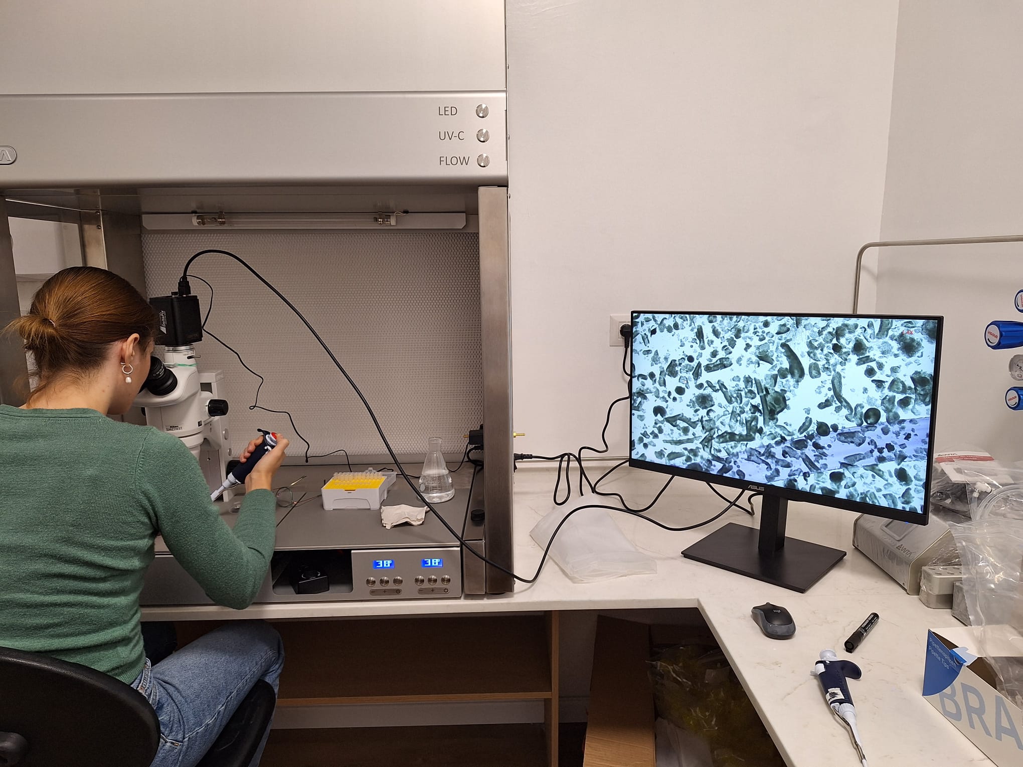 מעבדת IVF בשיאון