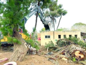 ניר עוז הגן הכחול