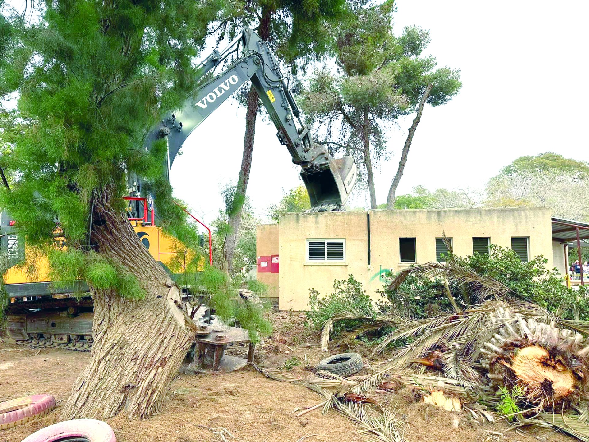 ניר עוז הגן הכחול