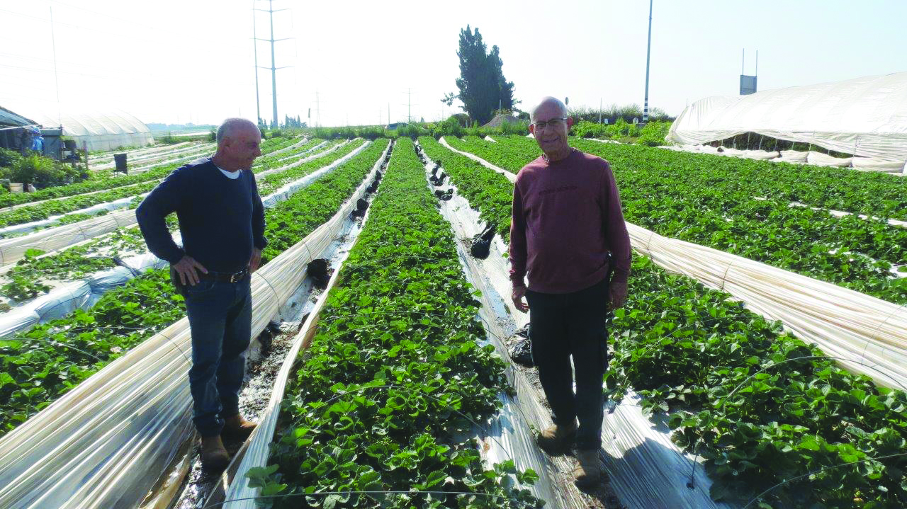נתן ואליעזר בשדה, כשהמנהרות פתוחות