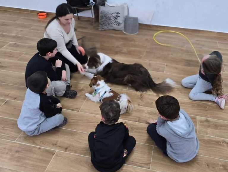 סדנת כלבנות טיפולית בקיבוץ אושה