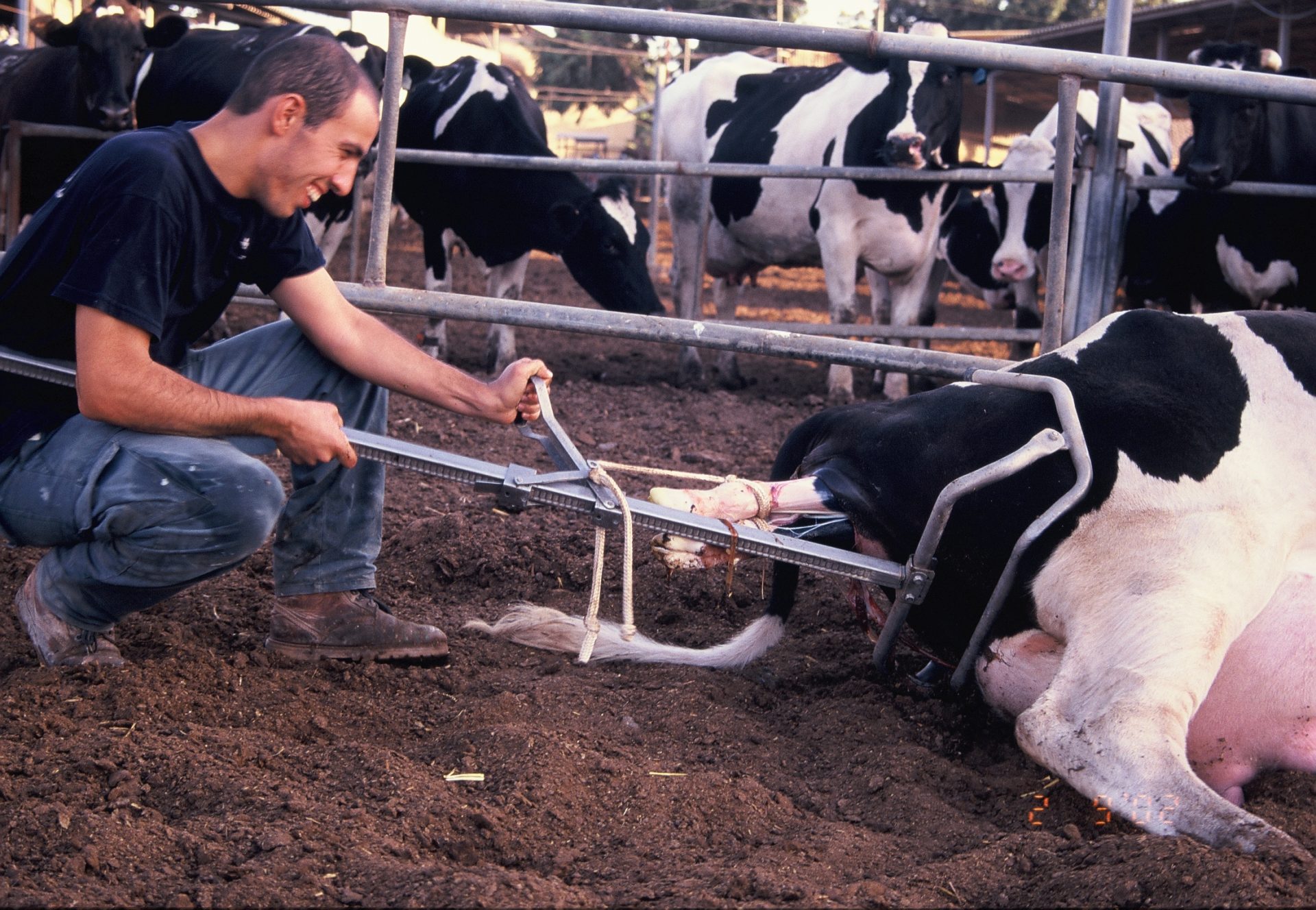 צור בזמן ההמלטה