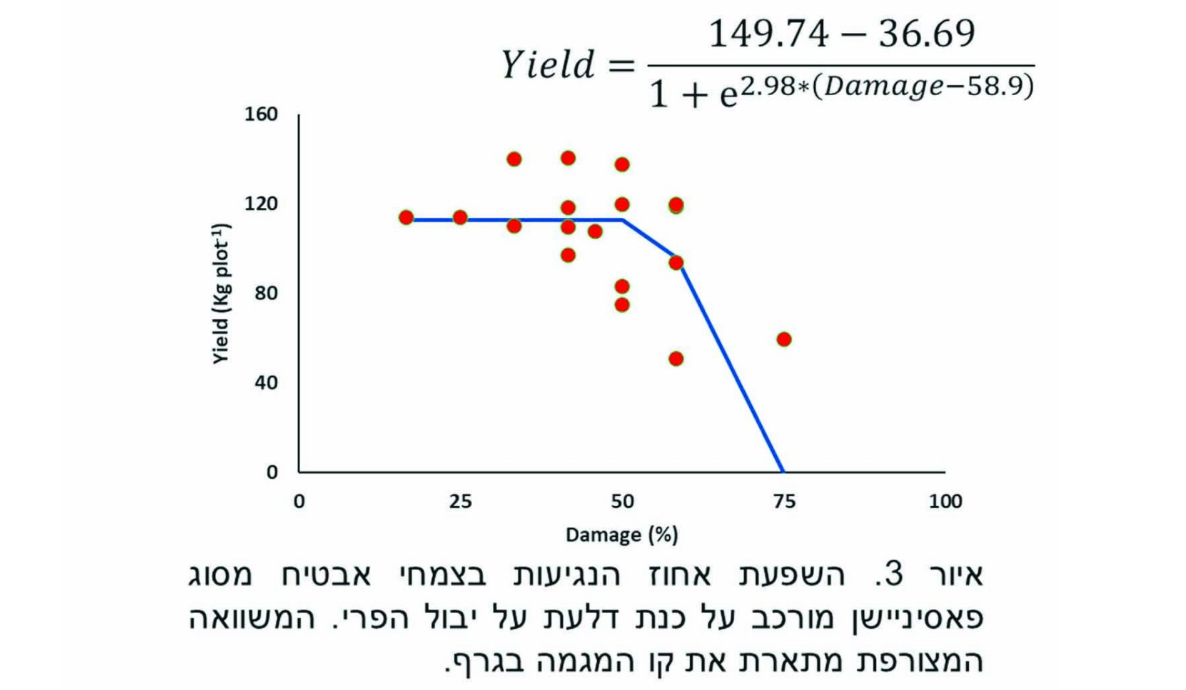 צילום מסך 2026 02 09 161458