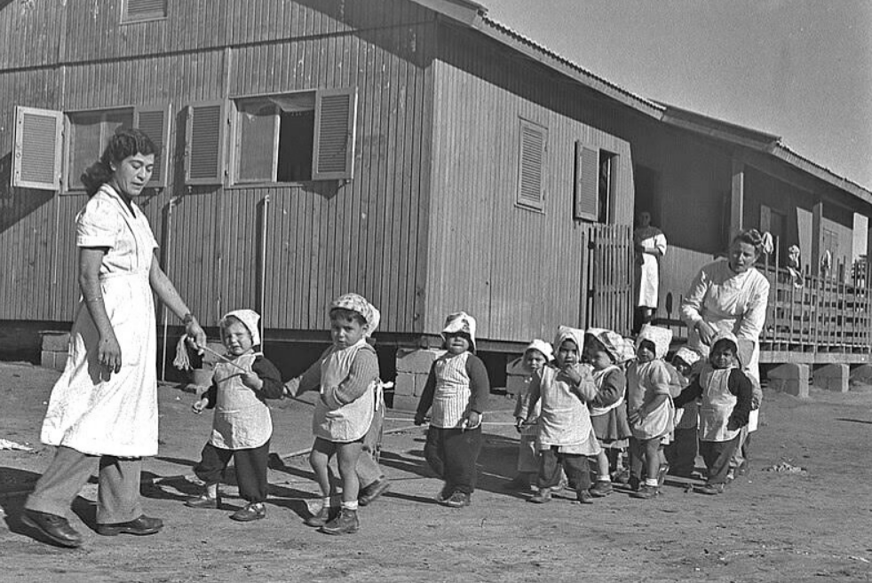 צילום מסך 2026 02 10 113105