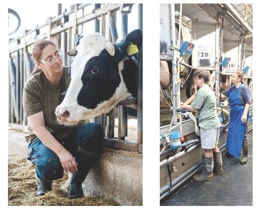 צילום מסך 2026 02 10 231026