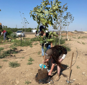 צילום מסך 2026 02 11 131927