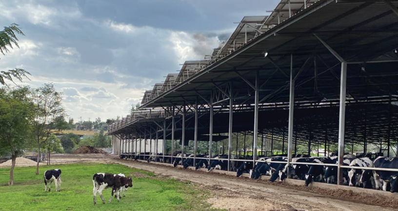 צילום מסך 2026 02 24 163947