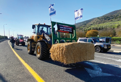 צילום מסך 2026 02 24 164036