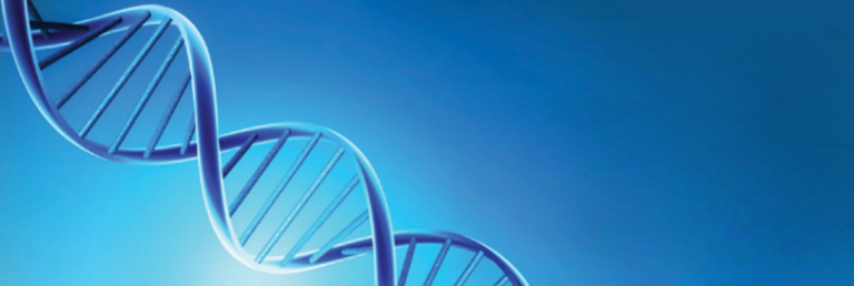 צילום מסך 2026 02 24 171628